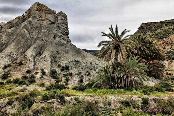 Alojamiento Dunas Centro Tabernas Eksteriør bilde